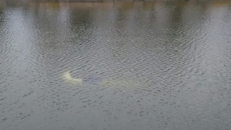 Под Астраханью водолазы ищут 83-летнего водителя утонувшей Нивы