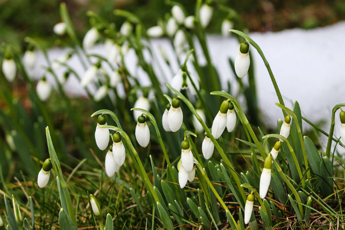 Весна пришла! Как изменится наша жизнь?