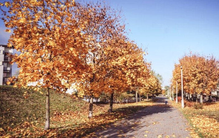 Ночью в Астраханской области будет теплее, чем сегодня, а днем наоборот – на градус холоднее