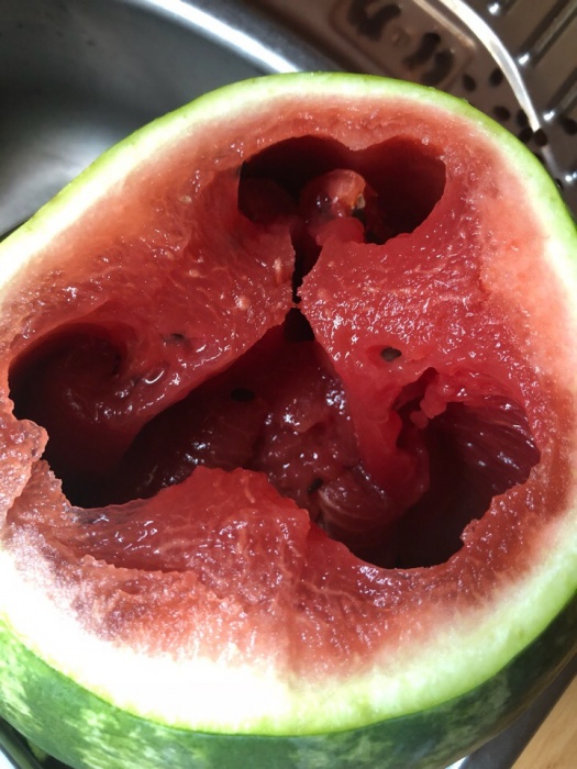 Фото дня: в Астрахани нашли арбуз Роршаха