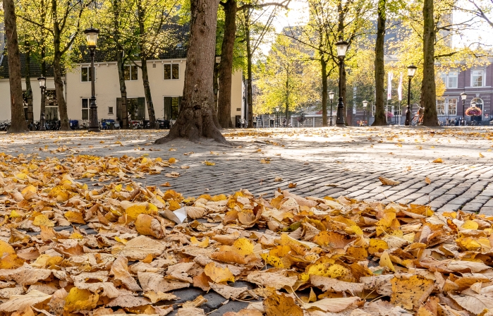 Завтра в Астраханской области ночь приблизится к холоду, а день останется по-прежнему теплым 