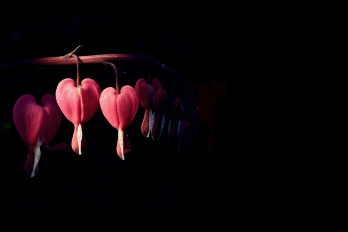 Возраст жертв – от 79 до 51 года: еще четверо астраханцев умерли от коронавируса