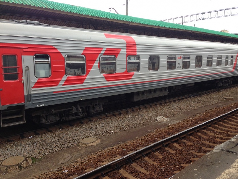 Поезд Астрахань–Волгоград врезался в табун лошадей