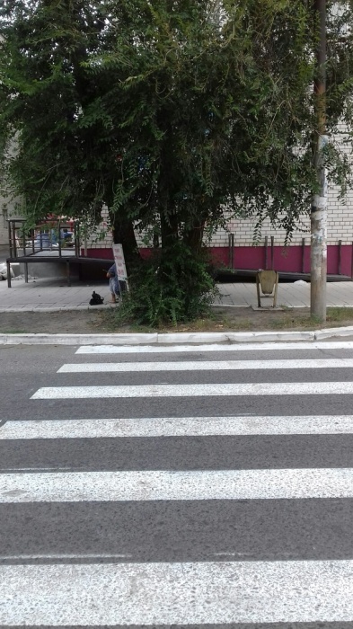 В Астрахани появился дорожный переход имени Гарри Поттера