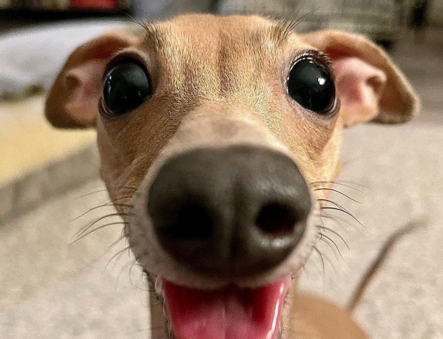 Не дельный обзор. Астраханцам запрещают нырять и плавать на досках