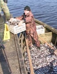 Подведены итоги весенней путины