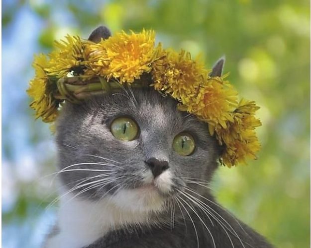 В марте в Астрахани будет дождливо, тепло и даже жарковато