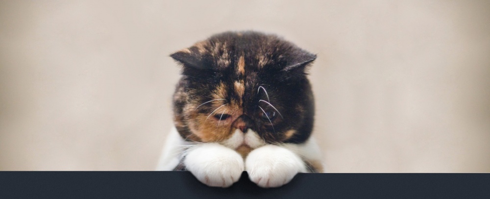 Астраханцев из-за жары ждут скучные выходные