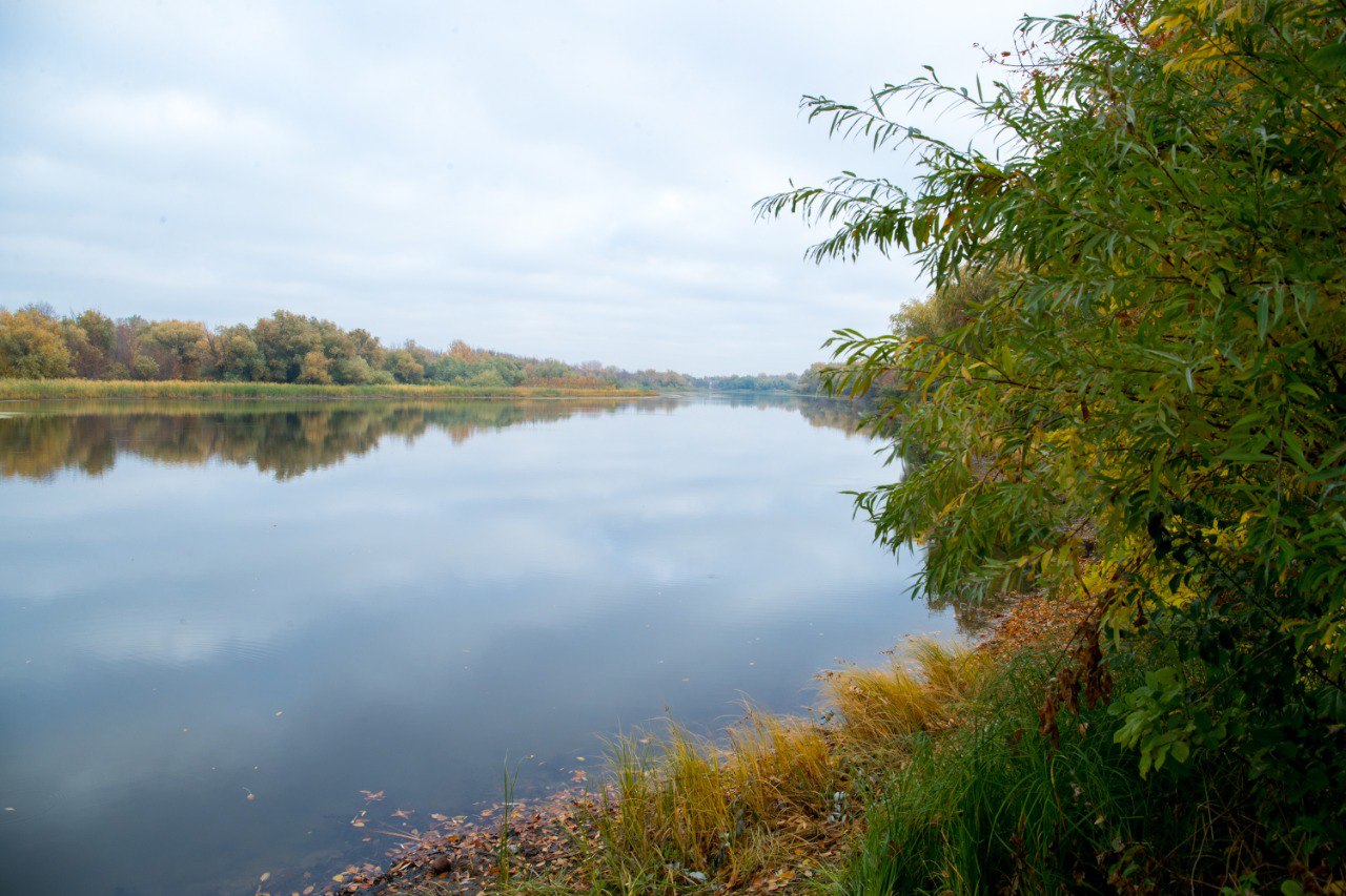 Астраханская вобла идет на поправку