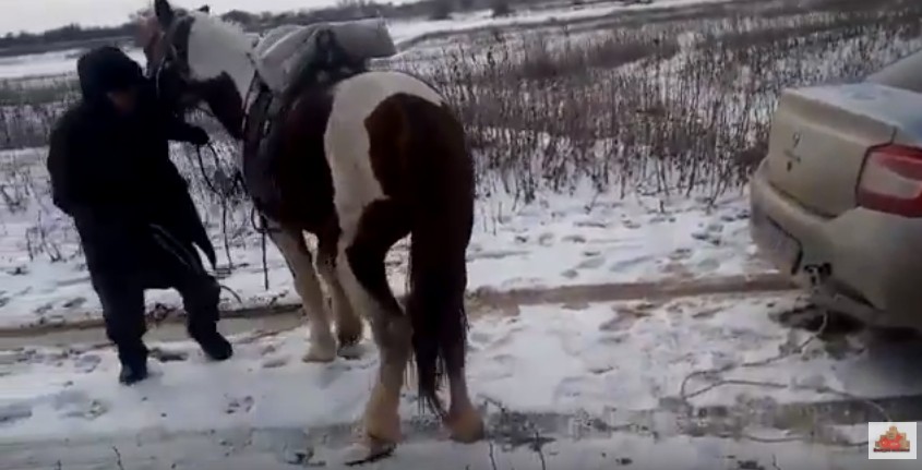 Астраханские дорожные полицейские привязали застрявший автомобиль к хвосту лошади