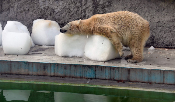 Астраханская жара не сдается: в пятницу будет тяжко