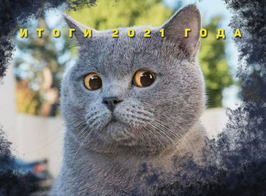 Хроники Года Быка, оказавшегося собачьим. Итоги астраханского политического сезона-2021