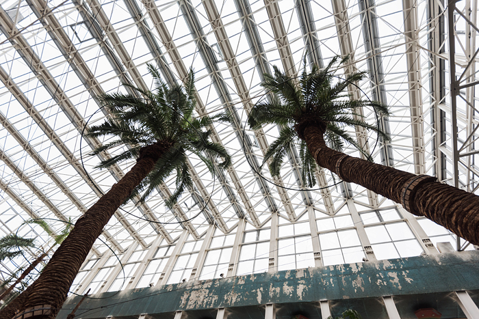 Кинотеатр "Октябрь" после первого этапа ремонта: эксклюзивный фоторепортаж от ПУНКТ-А