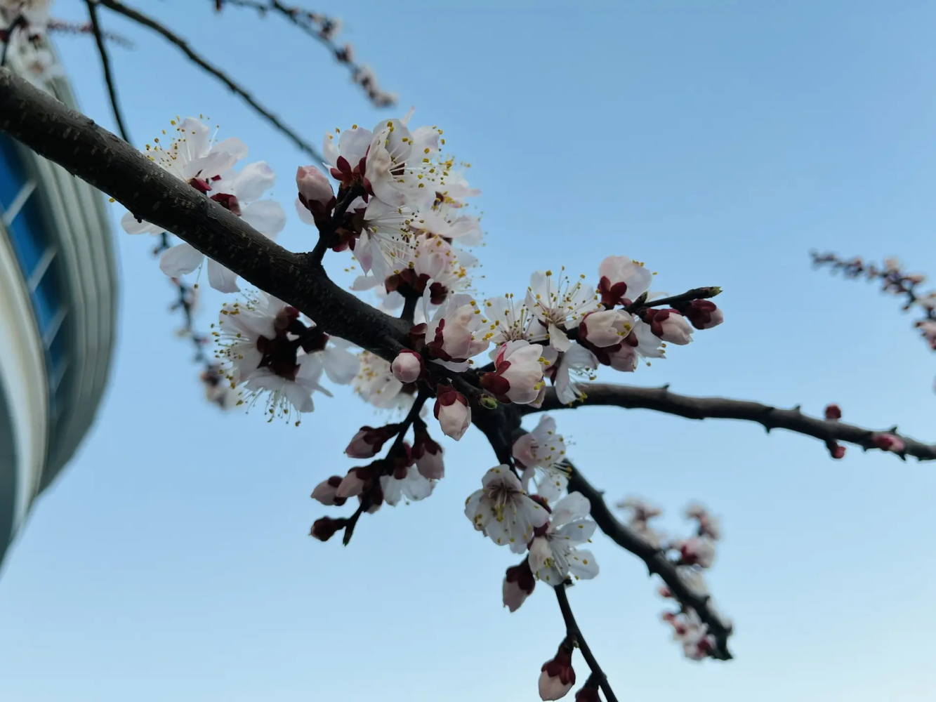 Выходные в Астраханской области начнутся с осадков