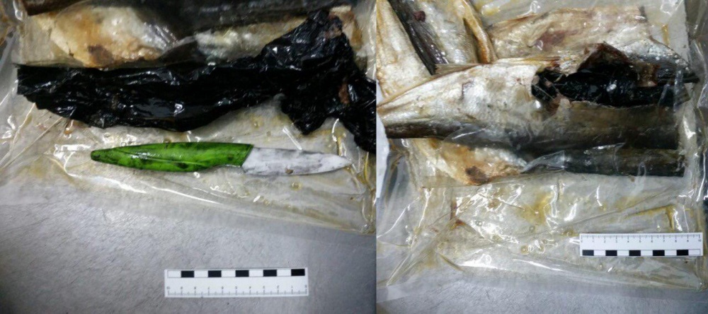 "Золотая" рыбка: В солёной вобле в изолятор пытались пронести целый боевой набор