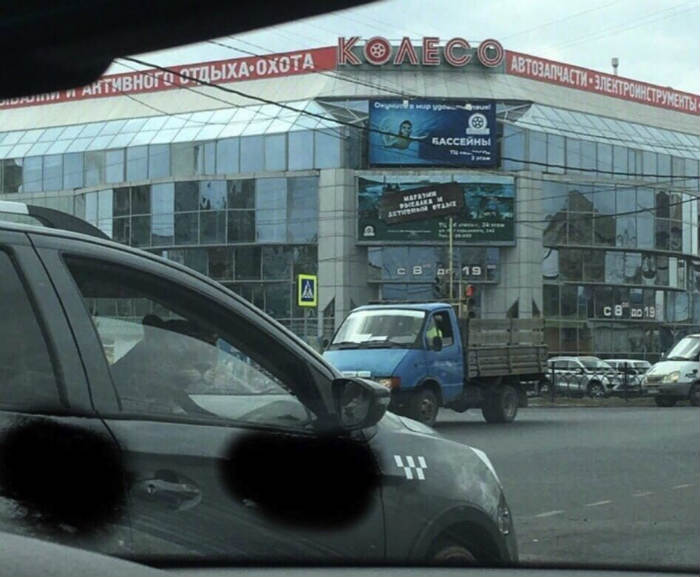 Стало известно, куда ехал леопард на такси в Астрахани