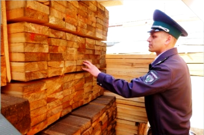 За январь из Астраханской области отправили на экспорт 9500 кубометров лесоматериалов