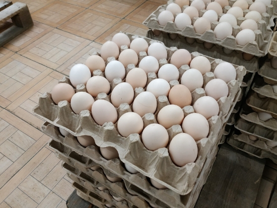 В Астраханской области птицефабрика выпускает уникальные кремовые яйца
