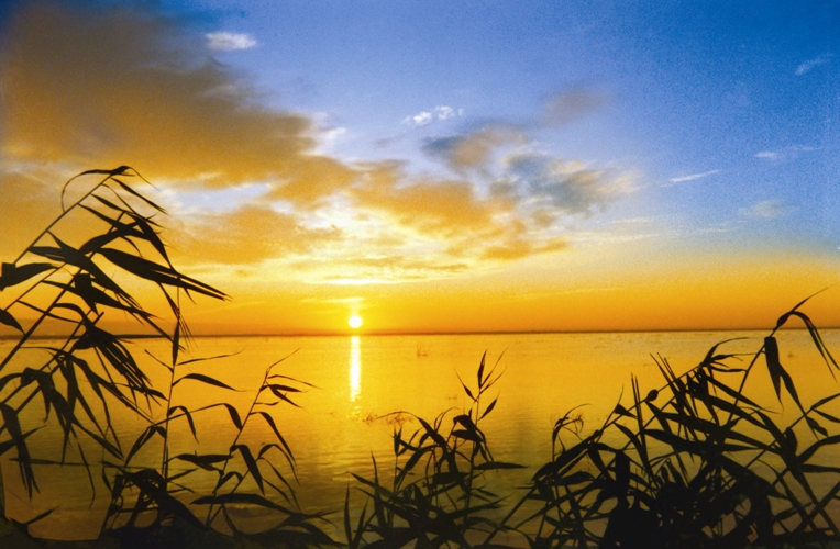 Туристический поток в Астраханскую область увеличился на 18%