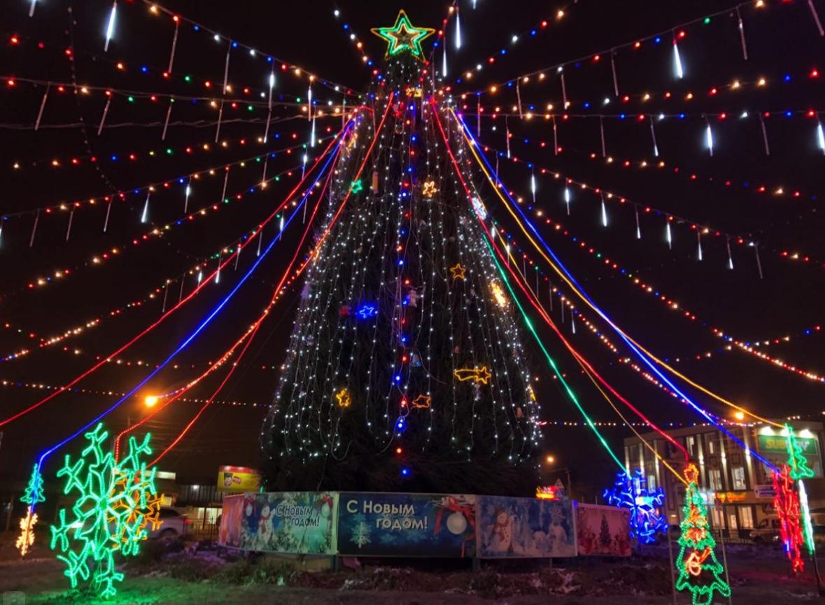 Готовь ёлку заранее. Администрация Астрахани купит 450 зеленых красавиц для украшения города к новому году