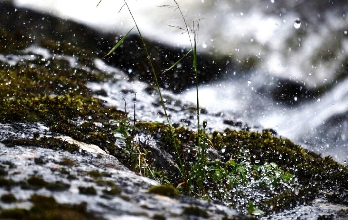 Ночью в Астраханской области ожидаются настоящие заморозки, днем в облцентре – мало греющие +13°