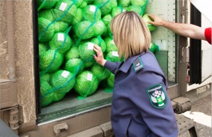 В феврале в Астраханскую область из Узбекистана поступило более 85 тонн капусты