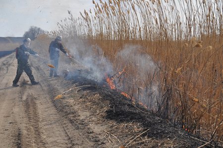 Астраханские власти обещают в 60 раз увеличить штрафы за поджог травы