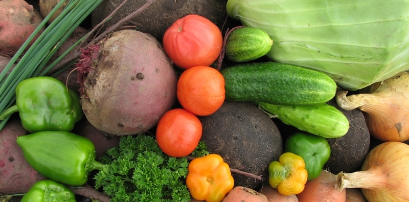 Астраханские фермеры собрали более 200 тысяч тонн овощей