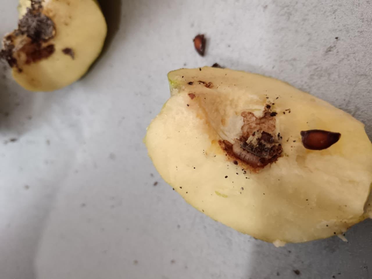 Заморский фрукт с неприятным сюрпризом привезли в Астрахань