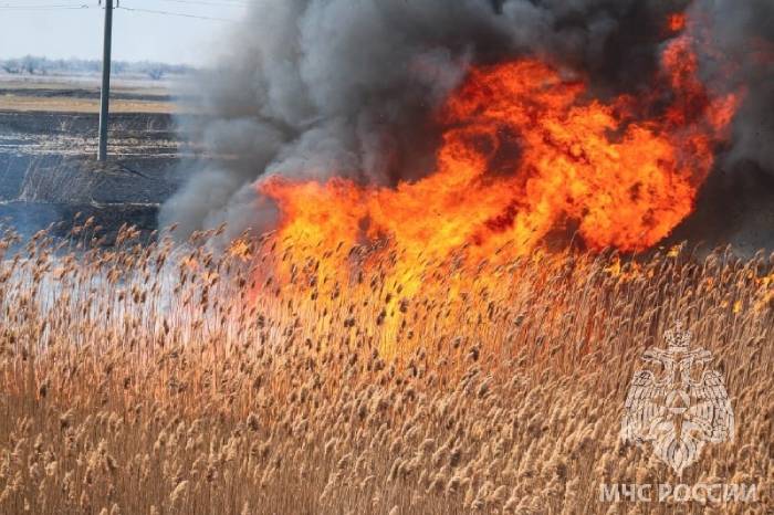 Сезон ландшафтных пожаров в Астраханской области начался 
