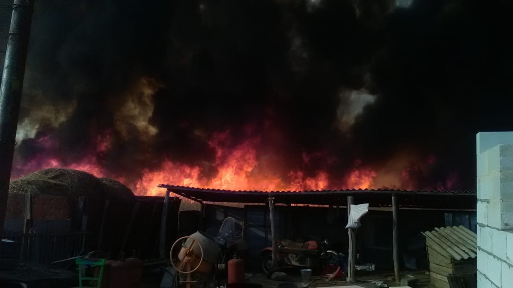 Камышовый пожар едва не перекинулся на жилые дома в одном из сёл Астраханской области