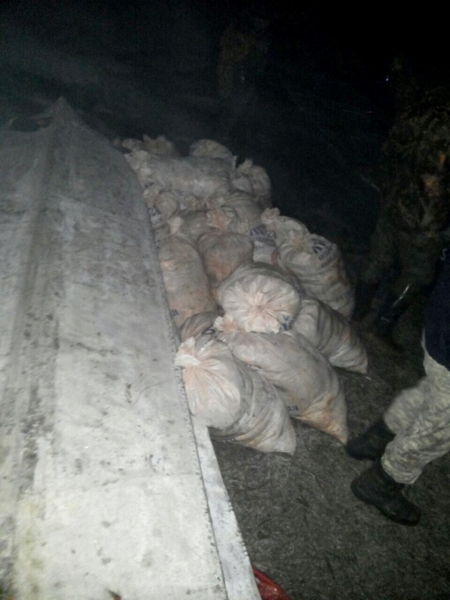 Астраханская полиция задержала браконьеров, выловивших больше тонны рыбы на территории заказника