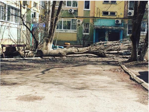 В Астрахани падают деревья и не только (МАТЕРИАЛ ОБНОВЛЯЕТСЯ)