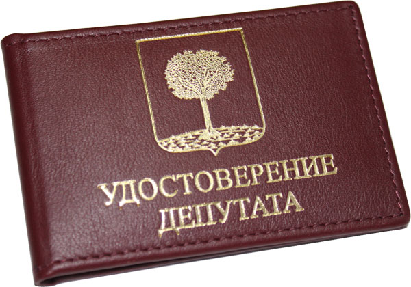 В Астраханской области еще 9 депутатов лишились мандатов. На этот раз из Икрянинского района 