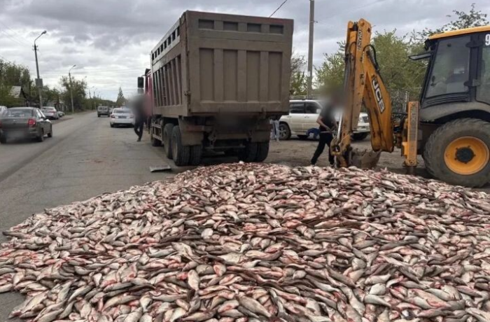 В Астрахани грузовик завалил рыбой проезжую часть