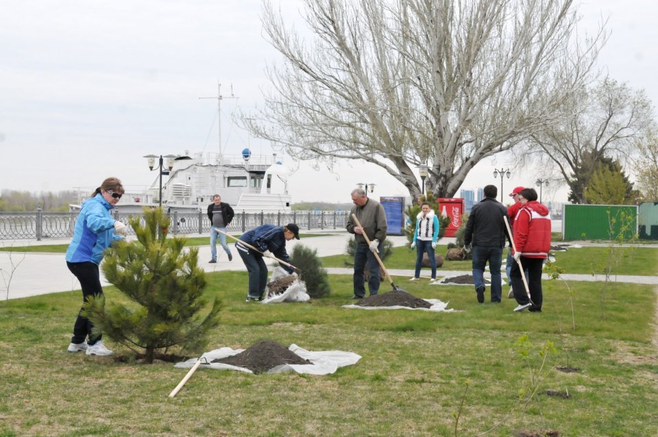 Весной в Астрахани планируют высадить тысячу деревьев и 600 тысяч цветов