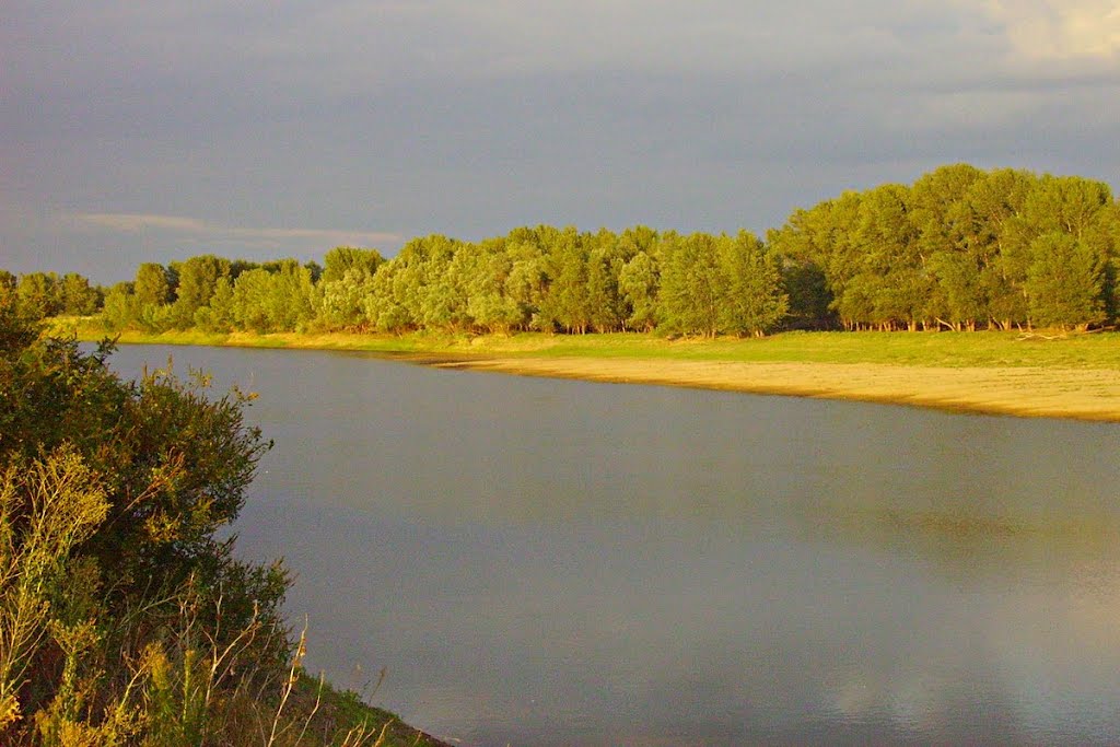 Минприроды России предлагает дополнительно обводнить Ахтубу