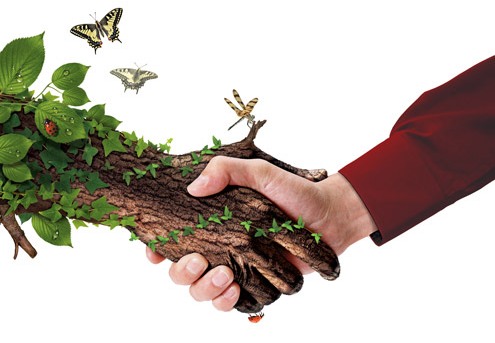 В Астрахани дуб, посаженный Петром I, стал памятником живой природы