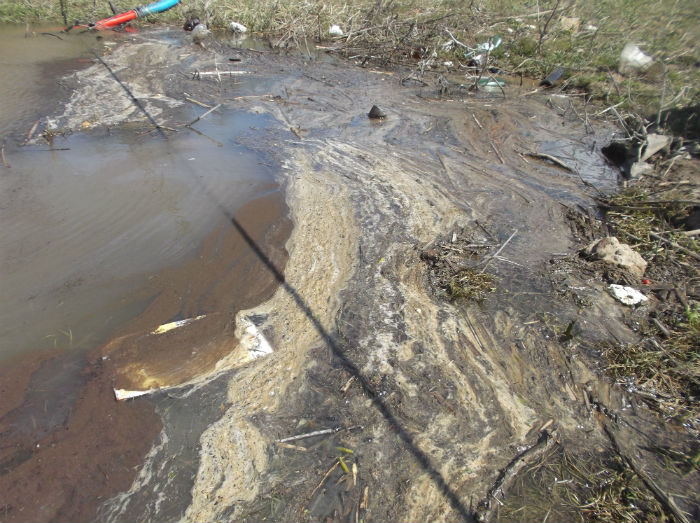 Астраханскую реку, отравленную нефтепродуктами, реанимировали