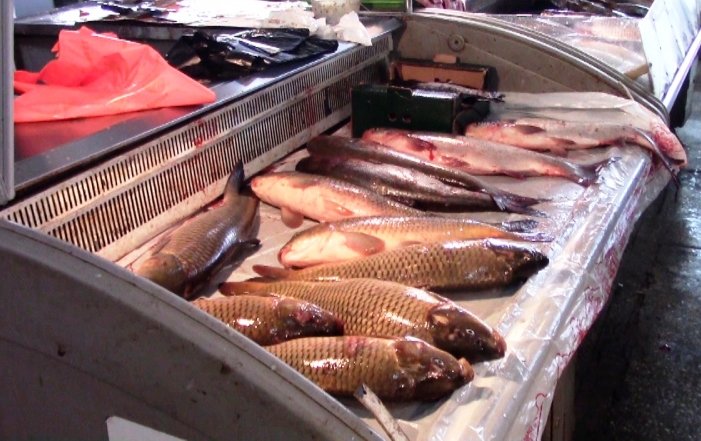 Глава минсельхоза: Продаваемая сейчас в Астрахани свежая рыба и икра – браконьерские