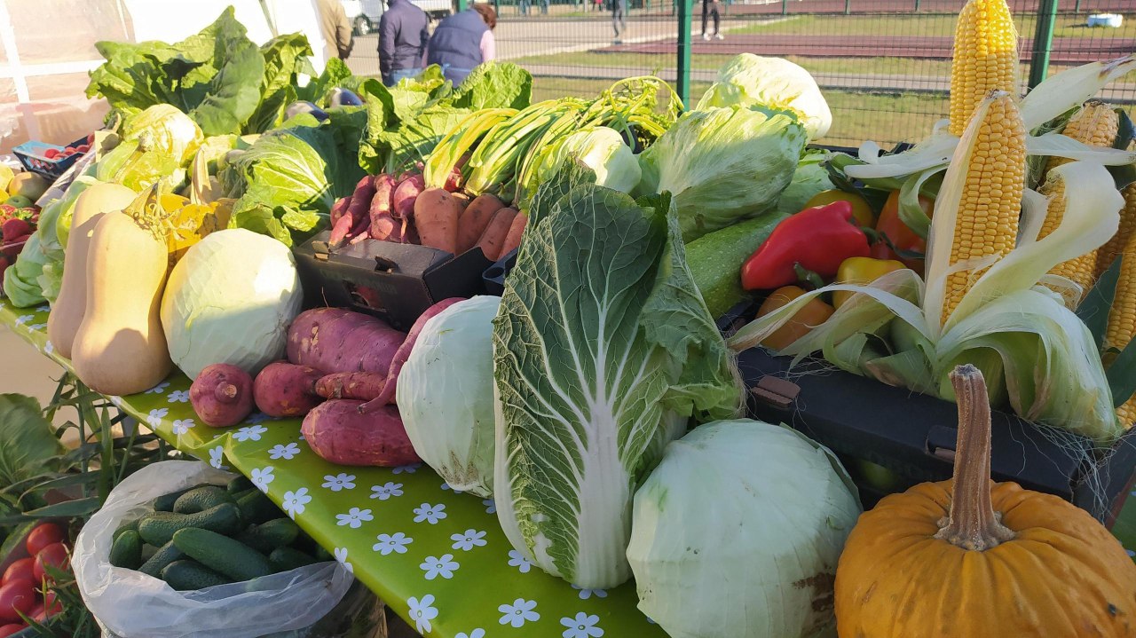 В субботу для астраханцев будет работать большая сельхозярмарка