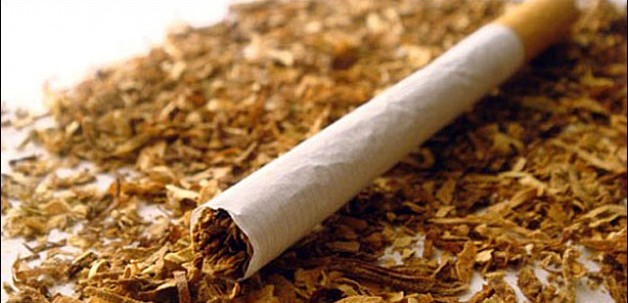 Дело табак: астраханскую границу не преодолел табак на миллион