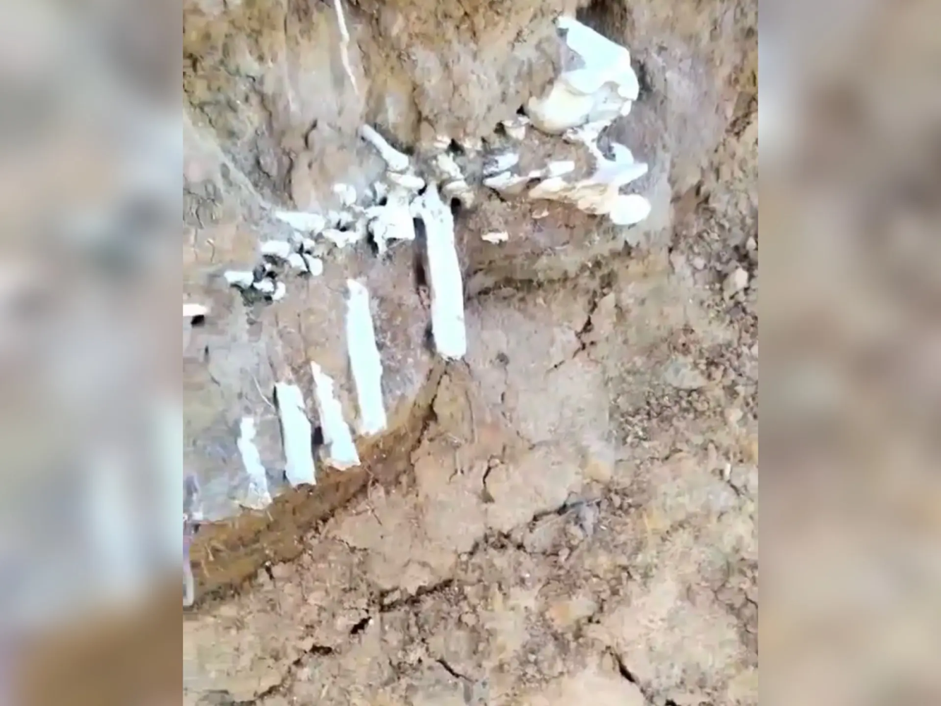 Астраханцы пытаются разгадать, кому принадлежит найденный на берегу скелет 