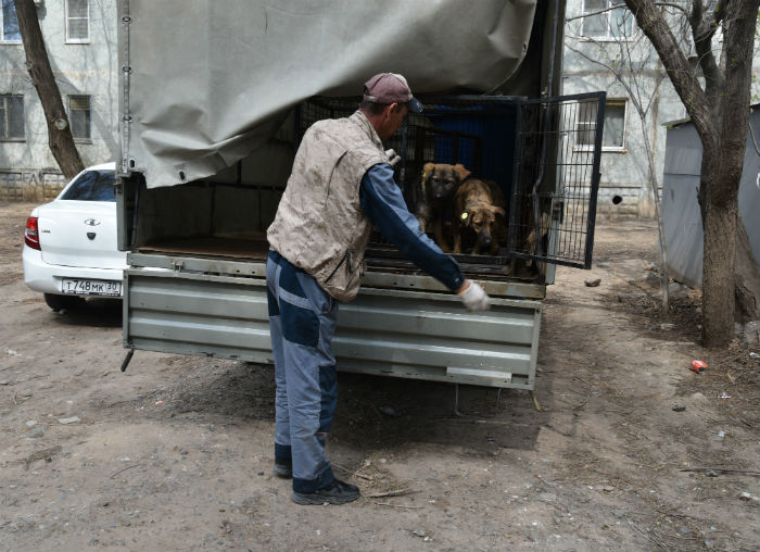 У астраханского питомника появилась своя страничка в Инстаграм
