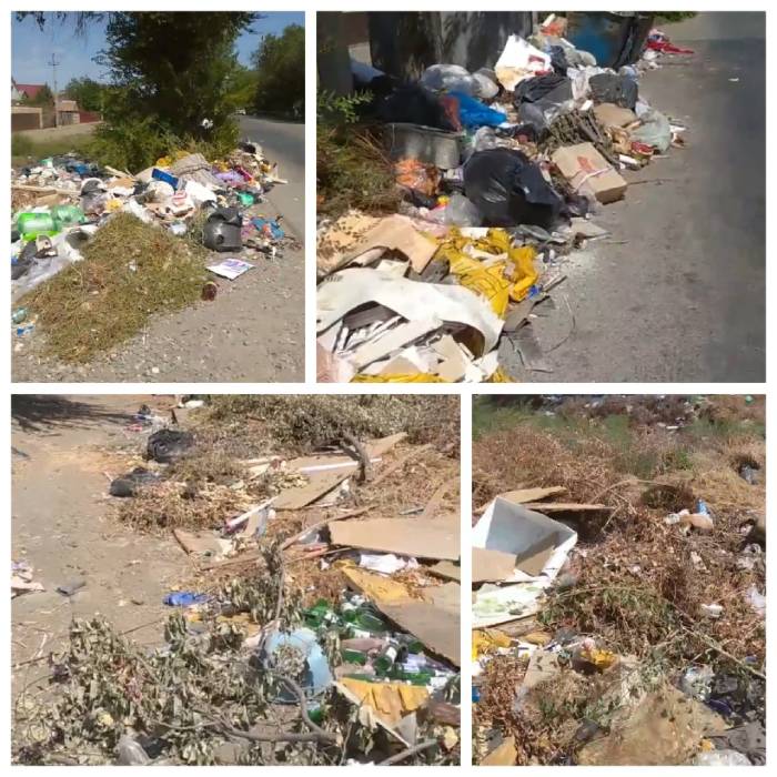 Утопающие в помоях астраханцы просят помощи у власти