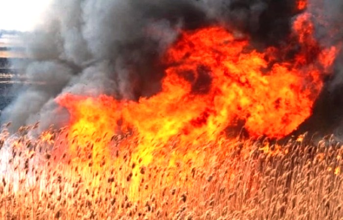 На юго-восточной окраине Астрахани горит ландшафтный пожар