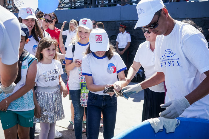 ЛУКОЙЛ продлил срок приема заявок на Конкурс социальных и культурных проектов