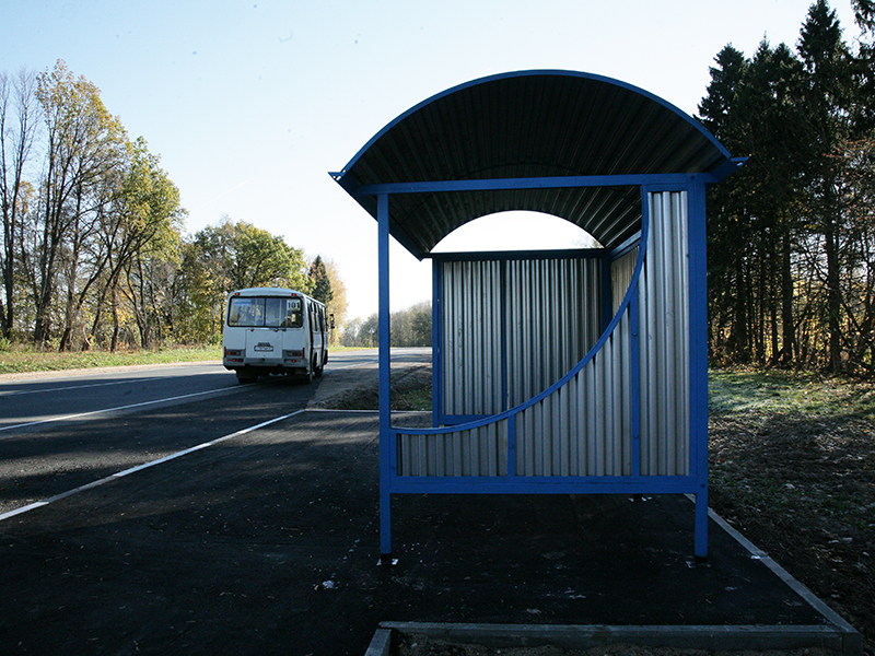 В Астрахани на остановке третий день разлагается труп собаки