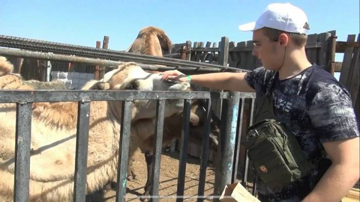 Астраханский зоопарк вызвал восторг у детей с Донбасса