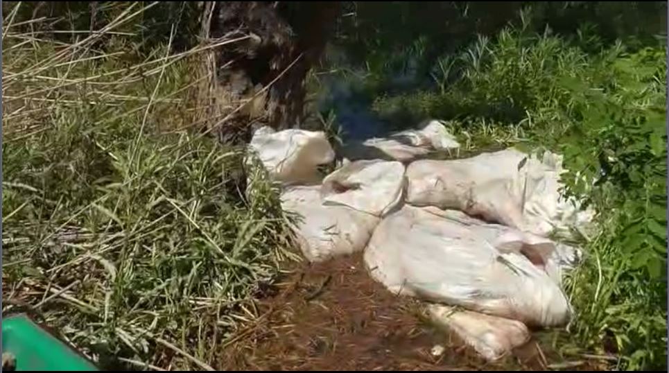 В Астраханской области на берегу реки нашли мешки с 300 кг осетра